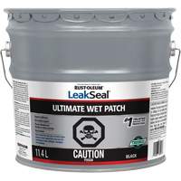 LeakSeal<sup>®</sup> Ultimate Wet Roof Patch AH043 | Globex Building Supplies Inc.