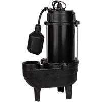 Cast Iron Sewage Pump, 120 V, 10 A, 6400 GPH, 3/4 HP DC849 | Globex Building Supplies Inc.