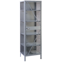 Wire Mesh Cabinet, Steel, 4 Shelves, 78" H x 24" W x 21" D, Grey FB015 | Globex Building Supplies Inc.