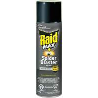 Raid<sup>®</sup> Max<sup>®</sup> Spider Blaster Bug Killer Insecticide, 500 g, Aerosol Can, Solvent Base JM270 | Globex Building Supplies Inc.