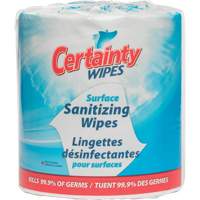 Surface Sanitizing Wipes, Packet JQ116 | Globex Building Supplies Inc.