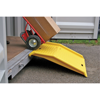 Portable Poly Shipping Container Ramp, 750 lbs. Capacity, 35" W x 36" L MO113 | Globex Building Supplies Inc.