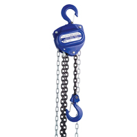 Chain Hoist, 20' Lift, 1000 lbs. (0.5 tons) Capacity, Load Chain Grade 80 Chain LU643 | Globex Building Supplies Inc.