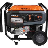 Portable Generator with COsense<sup>®</sup> Technology, 10000 W Surge, 8000 W Rated, 120 V/240 V, 7.9 gal. Tank NAA171 | Globex Building Supplies Inc.
