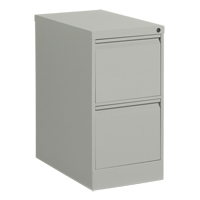 Vertical Filing Cabinet, Steel, 2 Drawers, 15-1/7" W x 25" D x 29" H, Grey OP916 | Globex Building Supplies Inc.