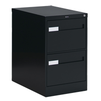 Vertical Filing Cabinet with Recessed Drawer Handles, 2 Drawers, 18.15" W x 26.56" D x 29" H, Black OTE611 | Globex Building Supplies Inc.