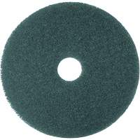 5300 Series Pad, 16", Cleaning, Blue PG207 | Globex Building Supplies Inc.