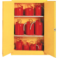 Insulated Flammable Liquid Safety Cabinets, 30 gal., 2 Door, 44" W x 45" H x 19" D SA087 | Globex Building Supplies Inc.