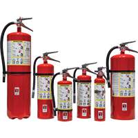 Fire Extinguisher, ABC, 30 lbs. Capacity SED110 | Globex Building Supplies Inc.