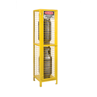 Gas Cylinder Cabinets, 2 Cylinder Capacity, 17" W x 17" D x 69" H, Yellow SEB838 | Globex Building Supplies Inc.