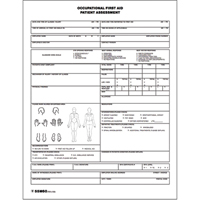 Patient Assessment Chart SEE693 | Globex Building Supplies Inc.