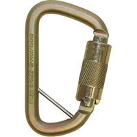Rollgliss™ Technical Rescue Offset D Fall Arrest Carabiner, Steel, 3600 lbs Capacity SEH168 | Globex Building Supplies Inc.
