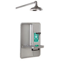 Eye/Face Wash and Shower, Ceiling-Mount SGC296 | Globex Building Supplies Inc.