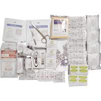 Shield™ Basic First Aid Kit Refill, CSA Type 2 Low-Risk Environment, Small (2-25 Workers) SHJ863 | Globex Building Supplies Inc.