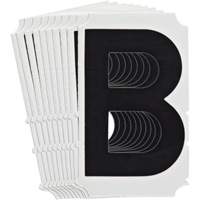 Quick-Align<sup>®</sup> Individual Gothic Number and Letter Labels, B, 4" H, Black SZ990 | Globex Building Supplies Inc.