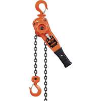 KLP Series Lever Chain Hoists, 5' Lift, 1500 lbs. (0.75 tons) Capacity, Steel Chain UAW095 | Globex Building Supplies Inc.