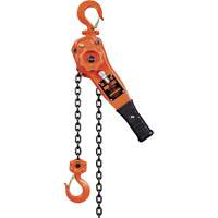 KLP Series Lever Chain Hoists, 5' Lift, 1500 lbs. (0.75 tons) Capacity, Steel Chain UAW099 | Globex Building Supplies Inc.