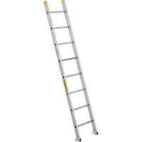 Industrial Heavy-Duty Extension/Straight Ladders, 10', Aluminum, 300 lbs., CSA Grade 1A VC274 | Globex Building Supplies Inc.