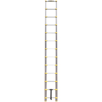 Telescopic Ladder, 3' - 12', Aluminum, 250 lbs. Capacity, Type 1 VC441 | Globex Building Supplies Inc.
