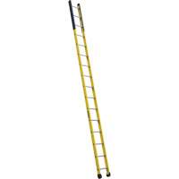 Single Manhole Ladder, 16', Fibreglass, 375 lbs., CSA Grade 1AA VD464 | Globex Building Supplies Inc.