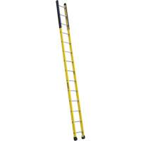 Single Manhole Ladder, 14', Fibreglass, 375 lbs., CSA Grade 1AA VD465 | Globex Building Supplies Inc.