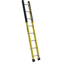 Single Manhole Ladder, 8', Fibreglass, 375 lbs., CSA Grade 1AA VD468 | Globex Building Supplies Inc.