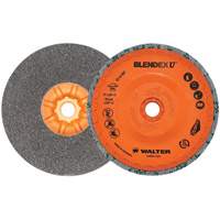 Blendex U™ Finishing Cup Disc, 5" Dia., Fine Grit, Silicon Carbide VV859 | Globex Building Supplies Inc.