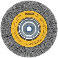 Crimped Bench Wire Brush, 6" Dia., 0.014" Fill, 5/8" - 1/2" Arbor WP402 | Globex Building Supplies Inc.