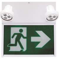 Running Man Exit Sign, LED, Battery Operated/Hardwired, 12" L x 12 1/2" W, Pictogram XE664 | Globex Building Supplies Inc.