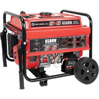 Electric Start Gas Generator with Wheel Kit, 6500 W Surge, 5000 W Rated, 120 V/240 V, 20 L Tank XI537 | Globex Building Supplies Inc.