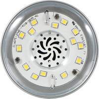 Ultra LED™ High Lumen Lamp, HID, 27 W, 3600 Lumens, Medium Base XI553 | Globex Building Supplies Inc.