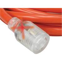 Generator Extension Cord with Quad Tap, 10 AWG, 30 A, 4 Outlet(s), 25' XI765 | Globex Building Supplies Inc.