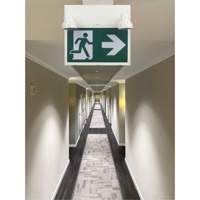 Running Man Sign with Security Lights, LED, Battery Operated/Hardwired, 12-1/10" L x 11" W, Pictogram XI790 | Globex Building Supplies Inc.
