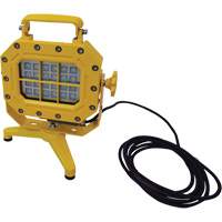 Explosion Proof Floodlight with Stand, LED, 40 W, 5600 Lumens, Aluminum Housing XJ040 | Globex Building Supplies Inc.