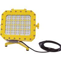 Explosion Proof Floodlight with Floor Stand, LED, 40 W, 5600 Lumens, Aluminum Housing XJ043 | Globex Building Supplies Inc.