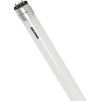 SubstiTUBE<sup>®</sup> Frosted Glass LED Bulb, 12 W, T8, 5000 K, 48" L XJ097 | Globex Building Supplies Inc.