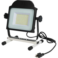 Floodlight, LED, 100 W, 10000 Lumens XJ197 | Globex Building Supplies Inc.